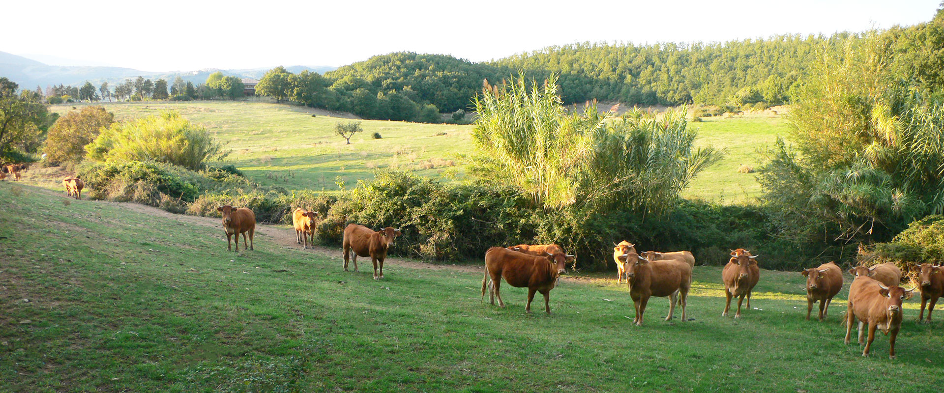 Villa for rent in Maremma